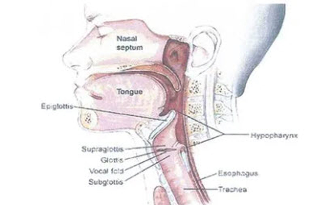 Voice Disorders - Suffolk Speech Therapy